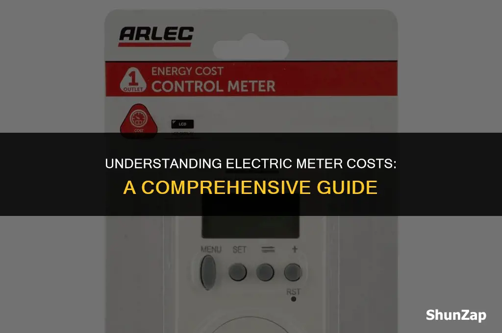 how much does electric meter cost