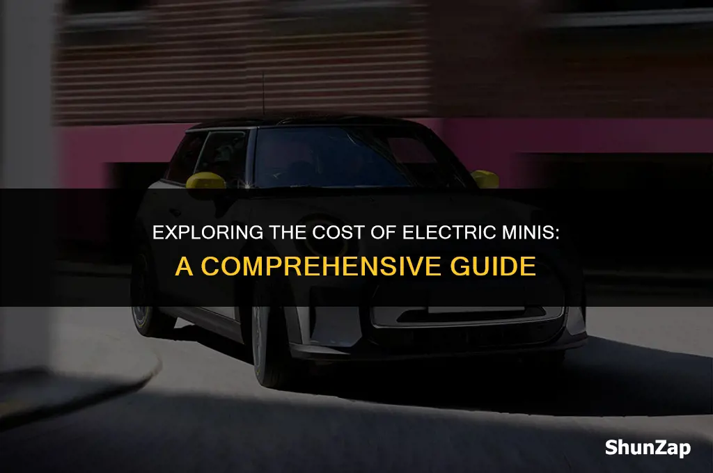 how much does electric mini cost