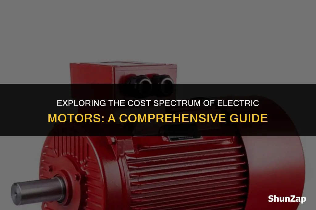 how much does electric motors cost