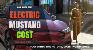 Exploring the Price Tag: How Much Does an Electric Mustang Cost?