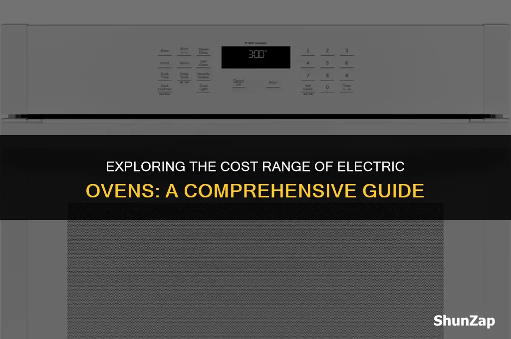 how much does electric oven cost