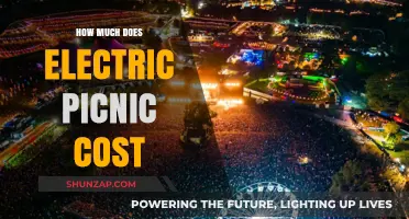 Exploring the Expenses: A Breakdown of Electric Picnic Costs