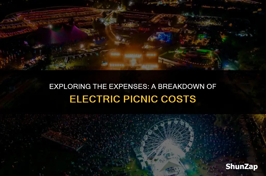 how much does electric picnic cost