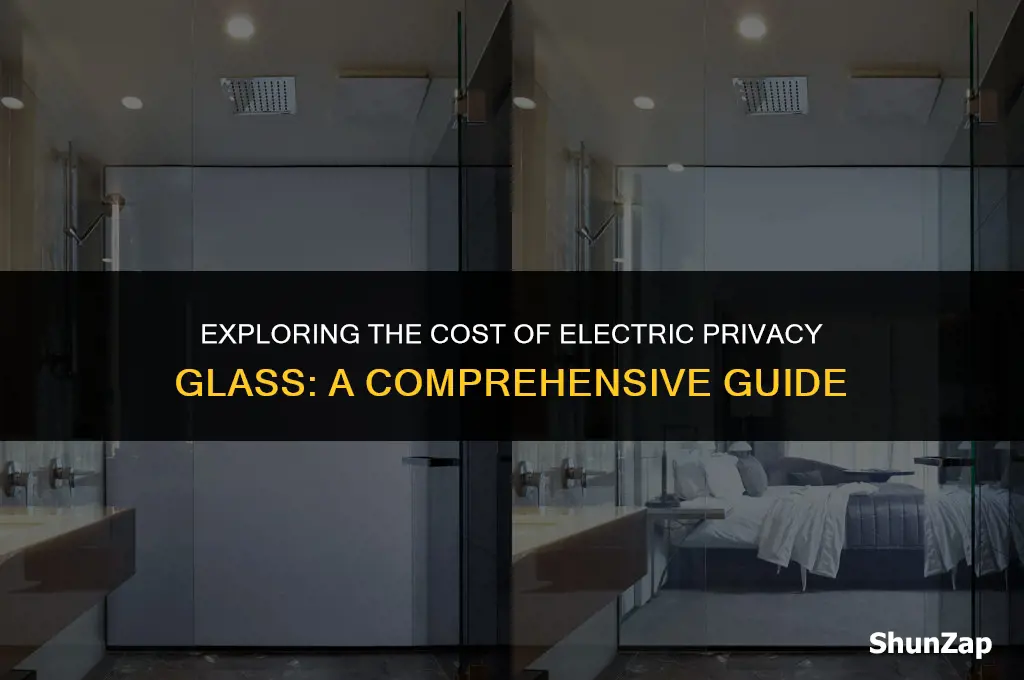 how much does electric privacy glass cost