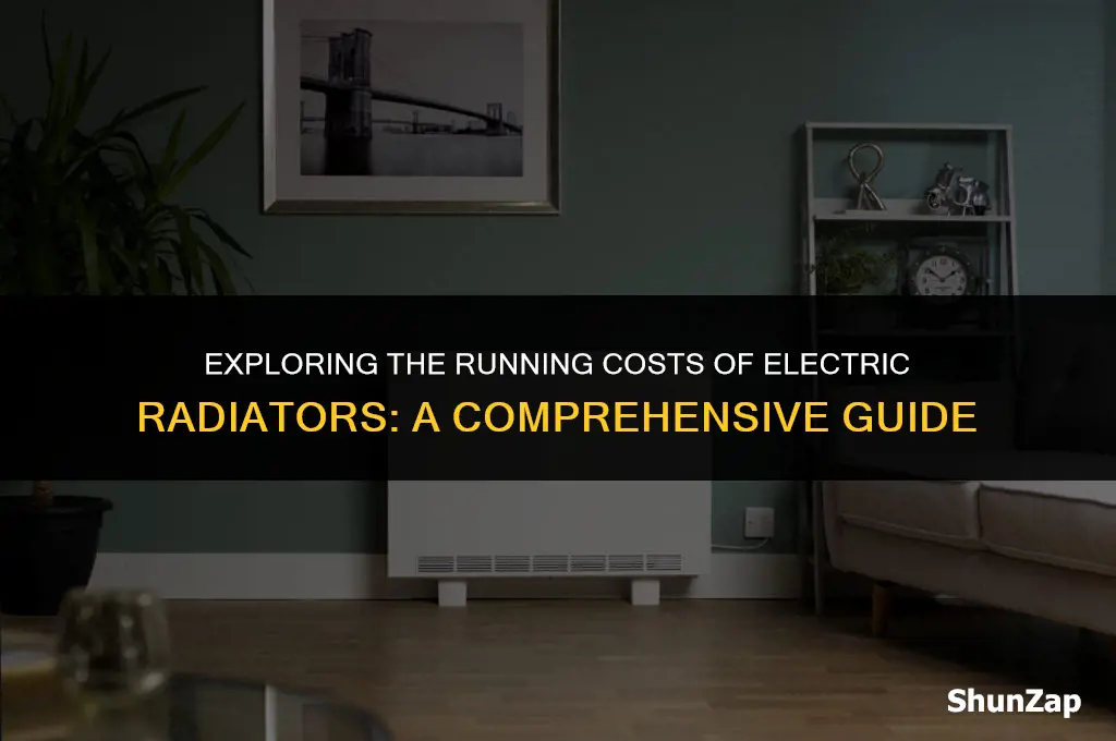 how much does electric radiator cost to run