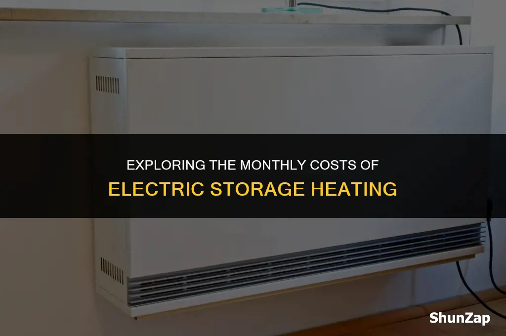 how much does electric storage heating cost per month