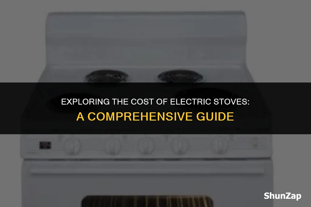 how much does electric stove cost