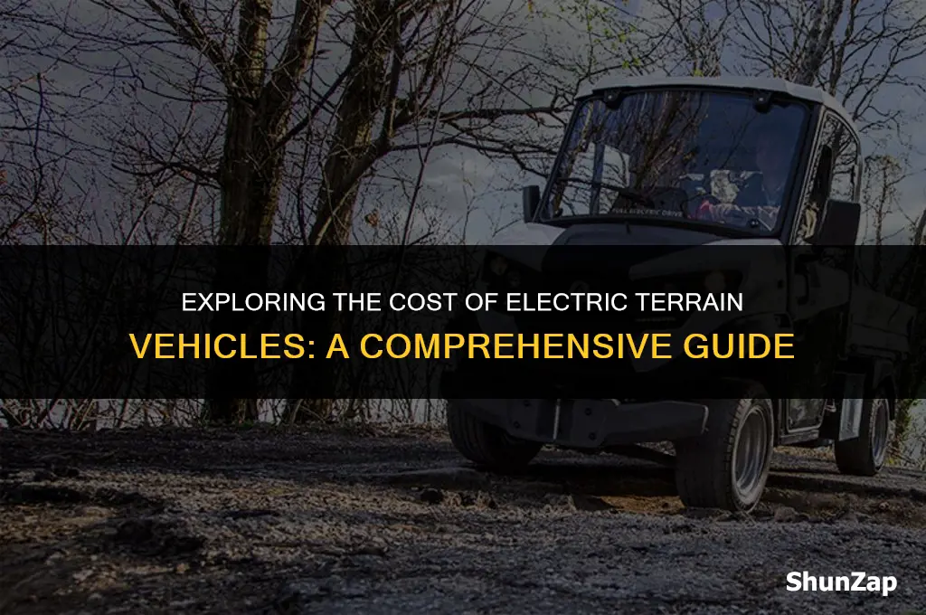 how much does electric terrain