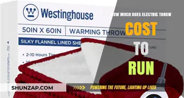 Exploring the Running Costs of Electric Throws: A Comprehensive Guide
