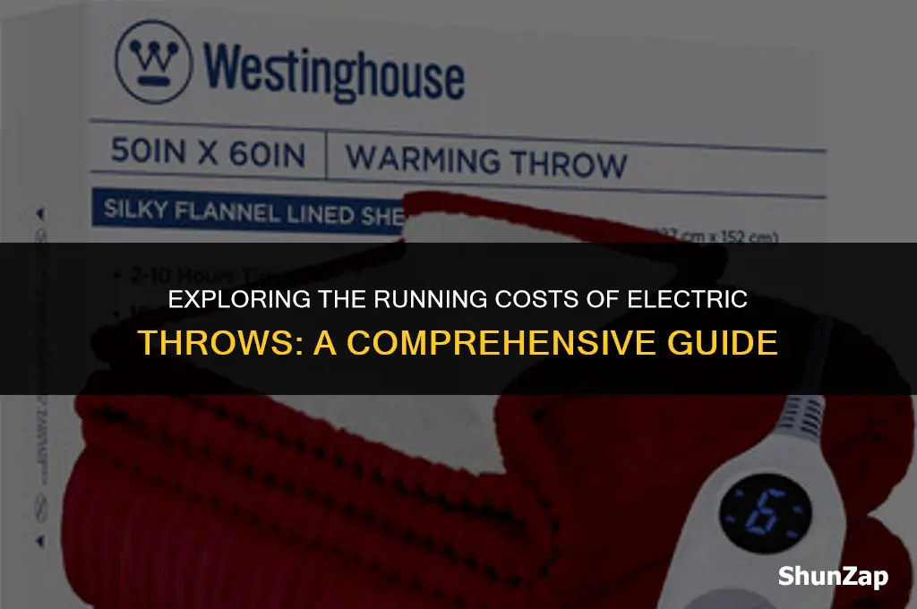 how much does electric throw cost to run
