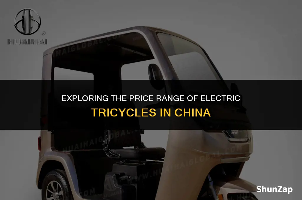 how much does electric tricycle cost in china