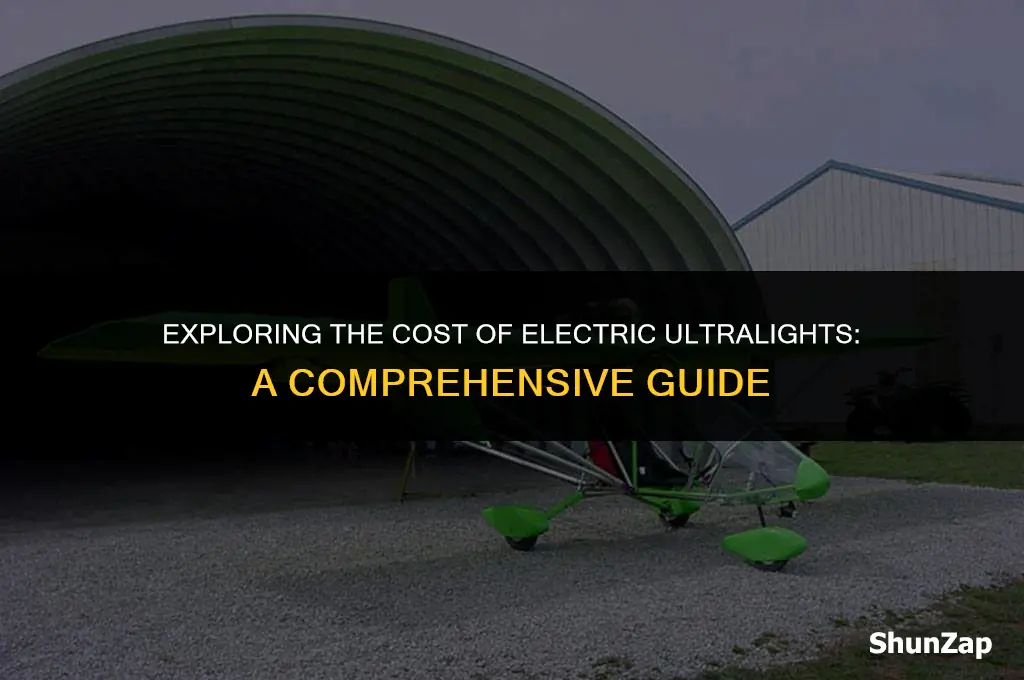 how much does electric ultralight cost petersripol