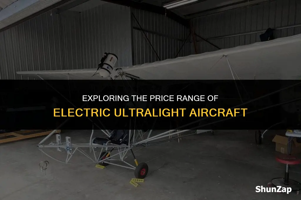 how much does electric ultralight cost