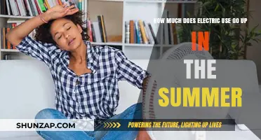 Summer Surge: Understanding the Increase in Electric Usage During Hot Months
