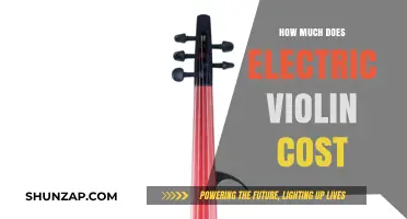 Exploring the Price Range of Electric Violins: A Comprehensive Guide