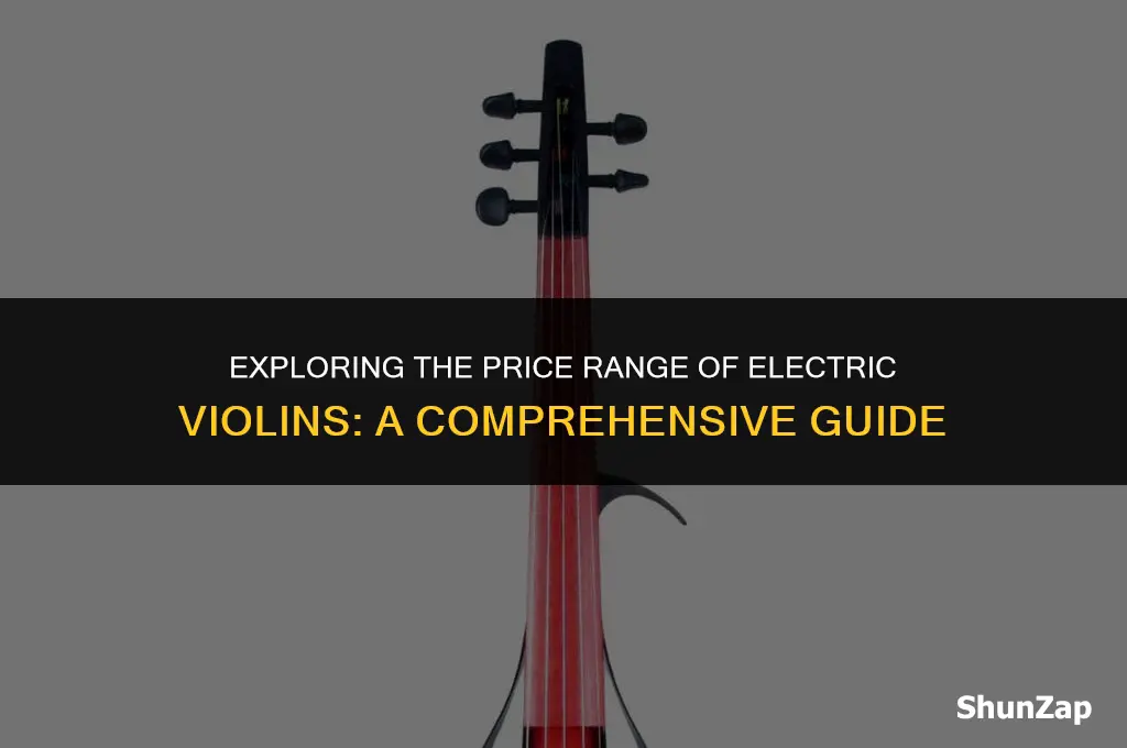 how much does electric violin cost