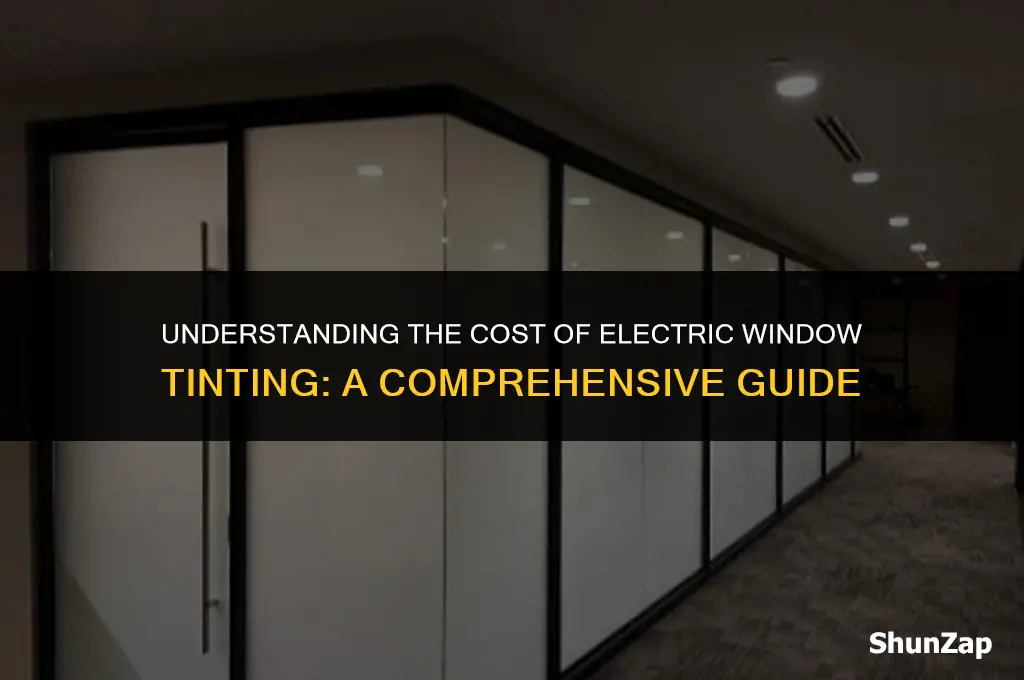 how much does electric window tint cost