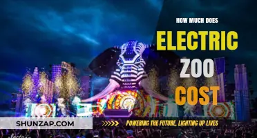 Exploring the Expenses: A Guide to Electric Zoo Costs