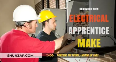 Exploring the Earnings Potential for Electrical Apprentices