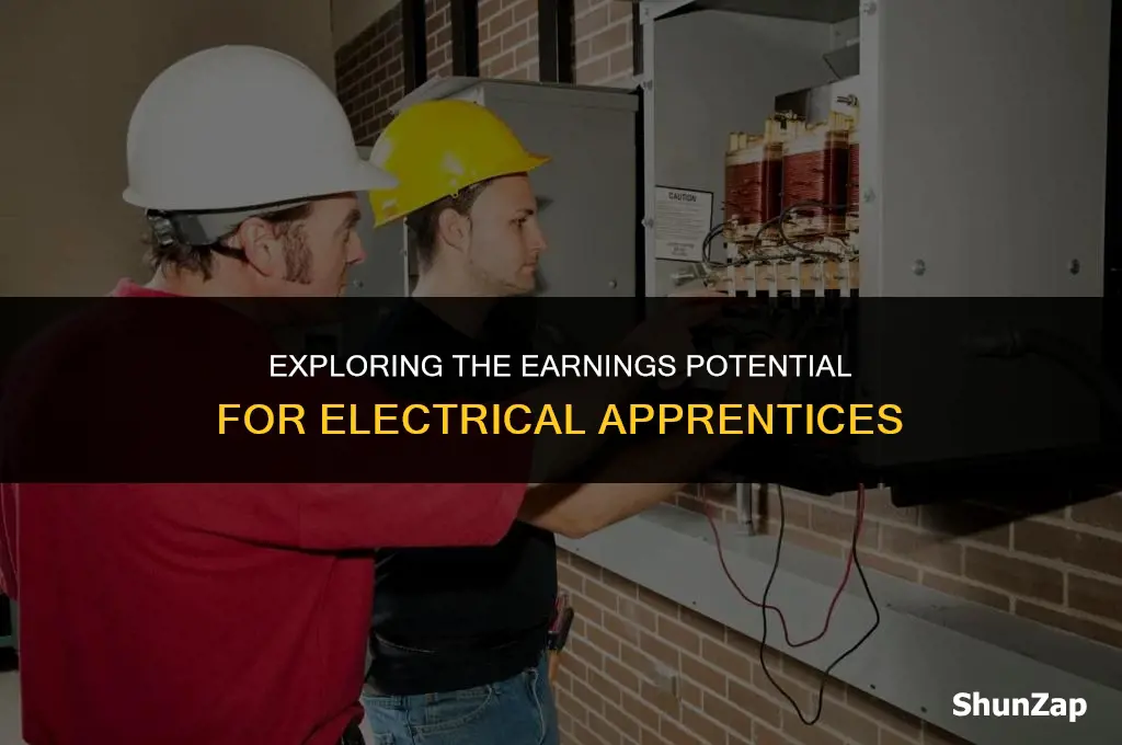 how much does electrical apprentice make
