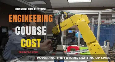 Exploring the Financial Aspects of Pursuing an Electrical Engineering Degree