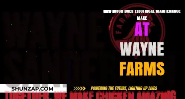 Salary Insights: Electrical Maintenance at Wayne Farms