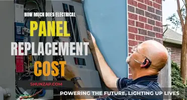 Understanding the Expense: A Guide to Electrical Panel Replacement Costs