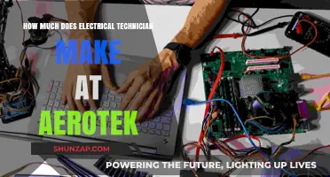 Unveiling the Salary Potential for Electrical Technicians at Aerotek