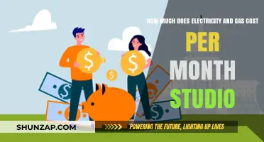 Understanding Monthly Electricity and Gas Costs for Your Studio