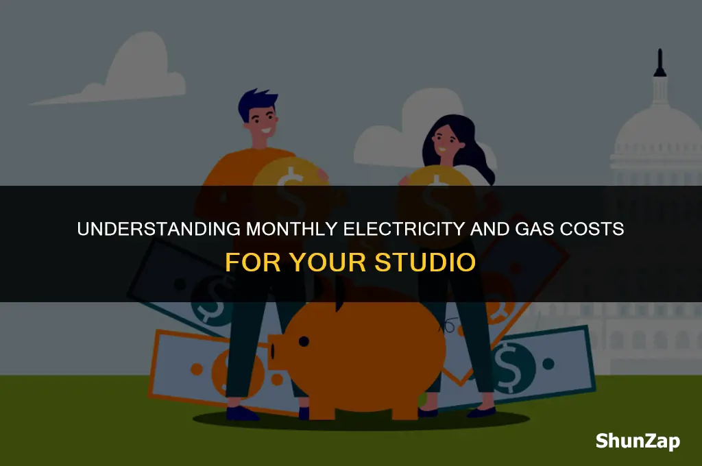 how much does electricity and gas cost per month studio