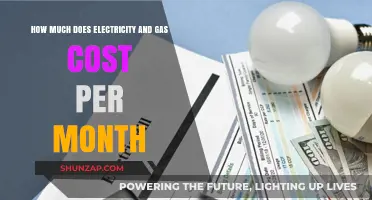 Understanding Your Monthly Electricity and Gas Expenses