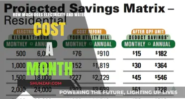 Monthly Essentials: Unraveling the Costs of Electricity and Water