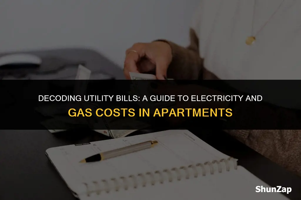 how much does electricity and wgas cost in an apartment