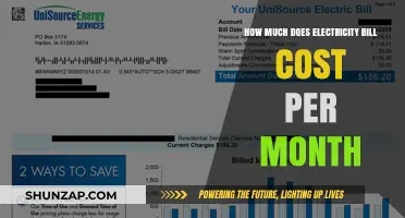 Understanding Your Monthly Electricity Bill: Costs and Factors