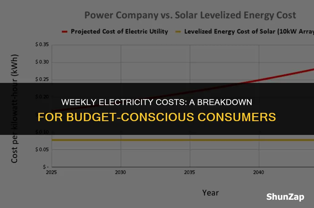 how much does electricity cost a week