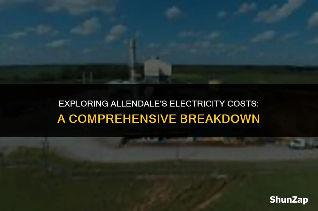 how much does electricity cost allendale