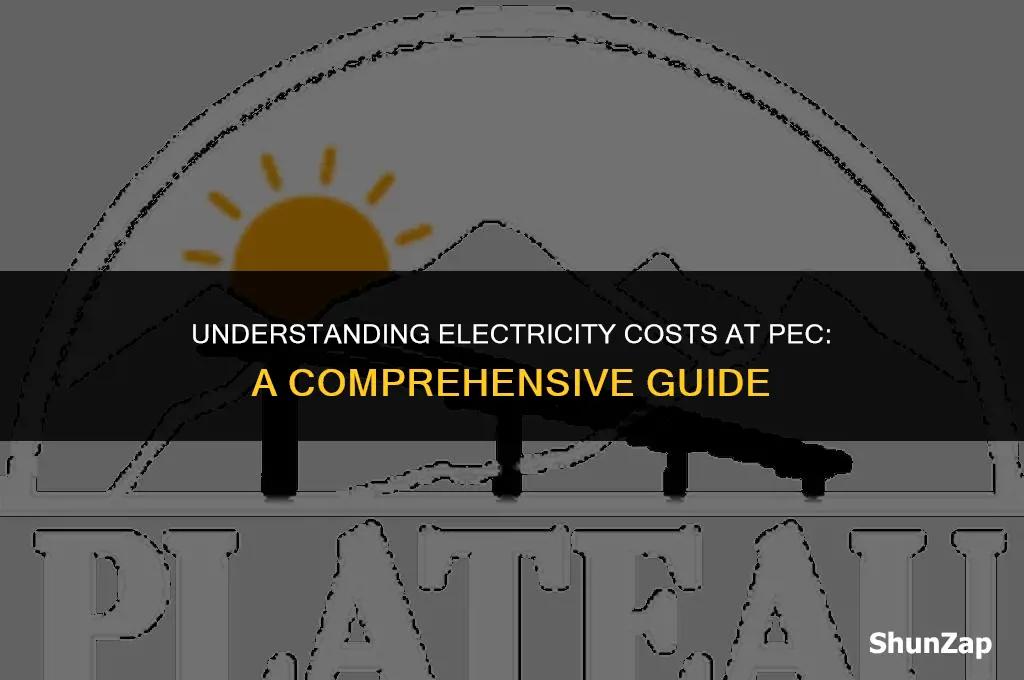 how much does electricity cost at pec