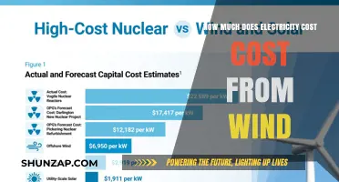 Exploring the Cost-Effectiveness of Wind-Generated Electricity