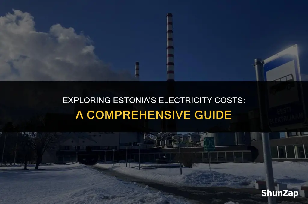 how much does electricity cost estonia