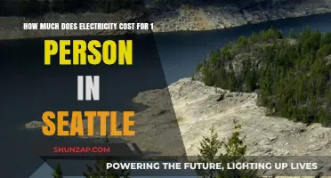 Seattle Solo: Unraveling the Cost of Electricity for One