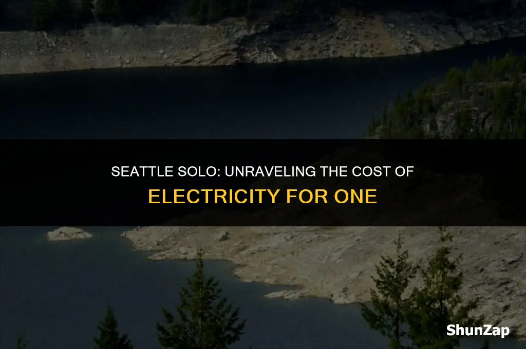 how much does electricity cost for 1 person in seattle