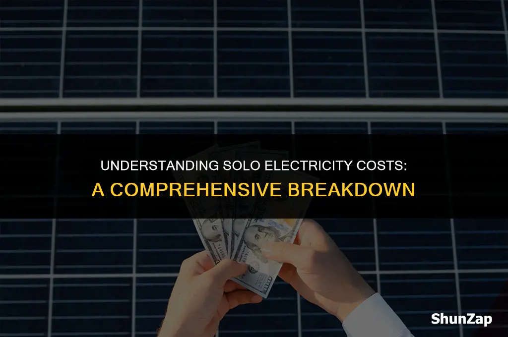 how much does electricity cost for 1 person
