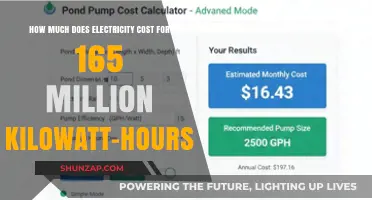 Decoding Electricity Costs: A Deep Dive into 165 Million Kilowatt-Hours