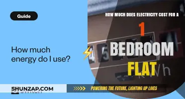 Understanding Electricity Costs for Your 1-Bedroom Flat