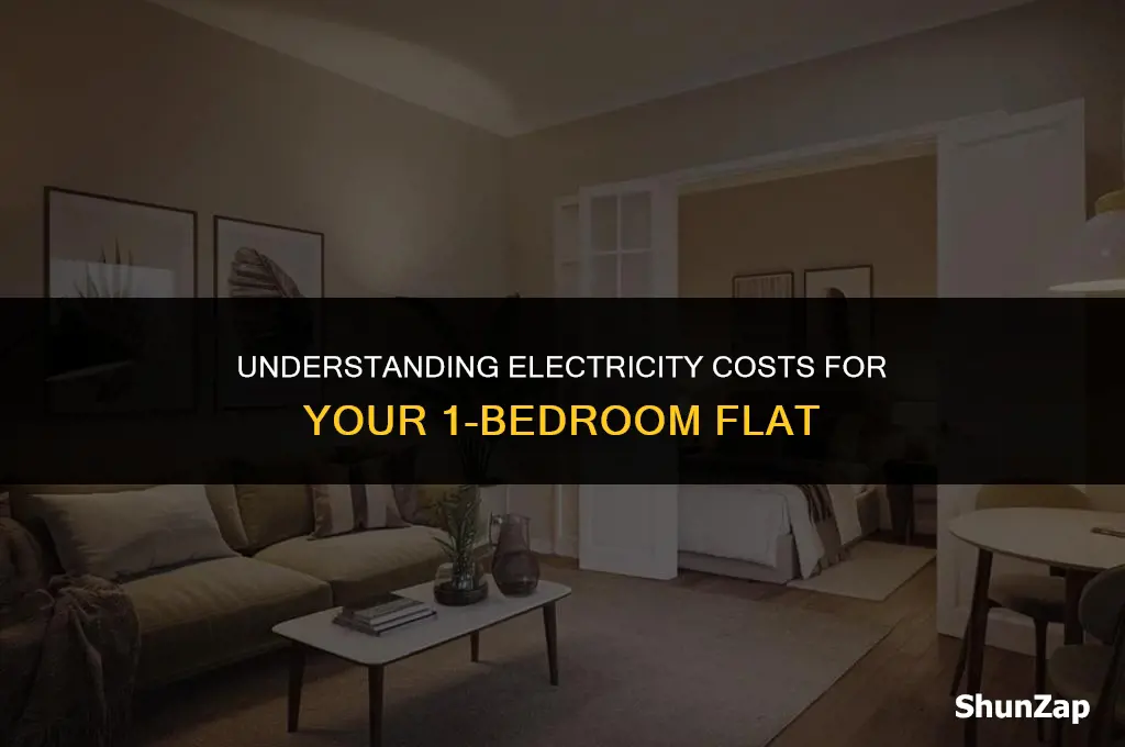 how much does electricity cost for a 1 bedroom flat