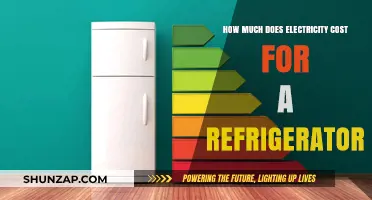 Decoding Refrigerator Electricity Costs: A Comprehensive Guide