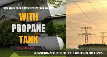 Propane vs. Electricity: Unraveling the Cost Mystery for Homeowners