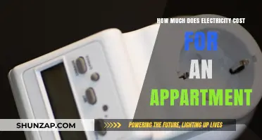 Decoding Apartment Electricity Costs: A Comprehensive Guide