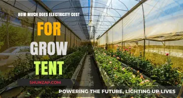 Understanding Electricity Costs for Your Grow Tent Setup