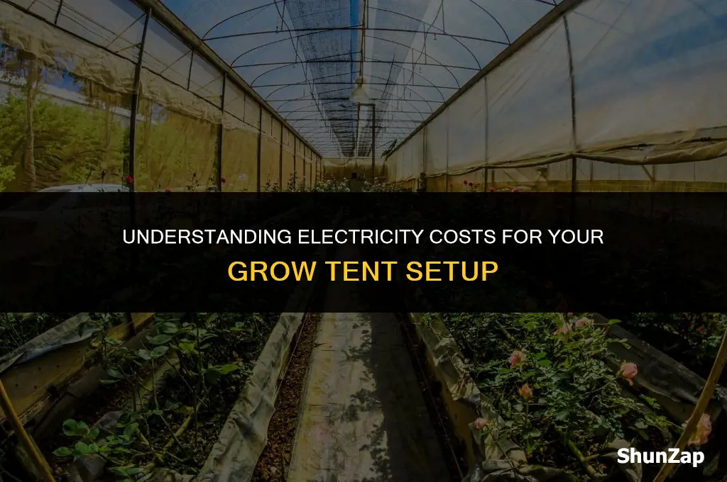 how much does electricity cost for grow tent